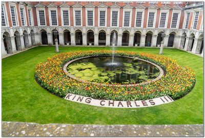 Angleterre_England 14