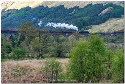 cosse_Scotland 16