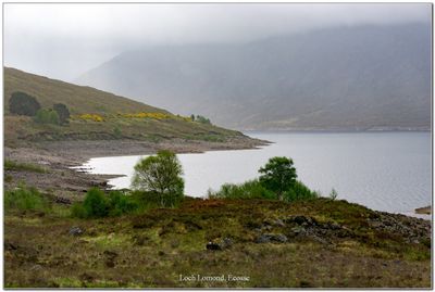 cosse_Scotland 20