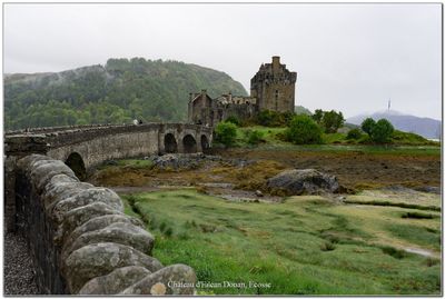 cosse_Scotland 21