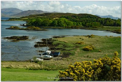 cosse_Scotland 23