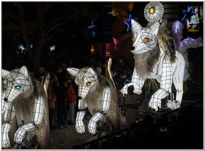 Corsos nocturne 6.jpg