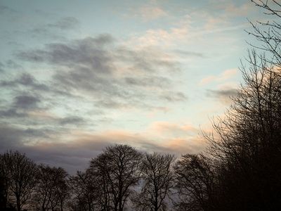P1210013-2-001.jpg