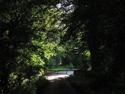 P6090030-2-001.jpg