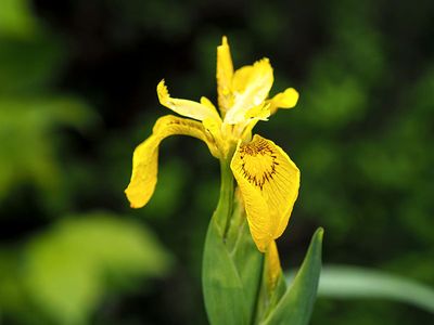 P6150001-2-001.jpg