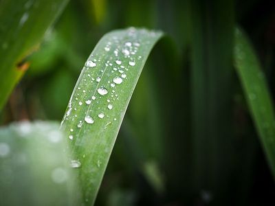 P6150003-2-001.jpg
