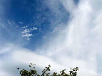 P6190001-2-001.jpg