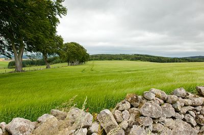 DSC_7896-001.jpg