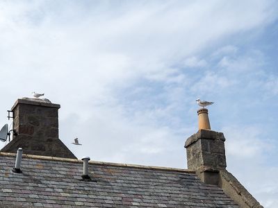 P7180055-2-001.jpg
