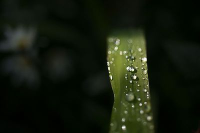 DSC_8114-001.jpg