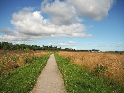 P7270013-2-001.jpg