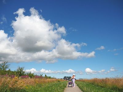 P7270016-2-001.jpg