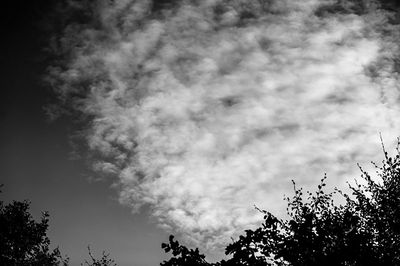 DSC_8423-001.jpg
