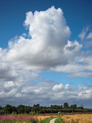 P8030100-2-001.jpg