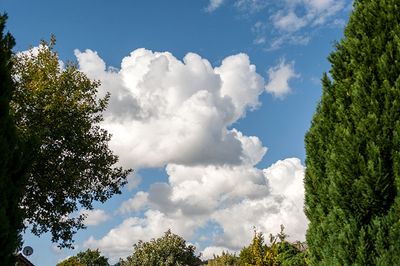 DSC_8606-001.jpg
