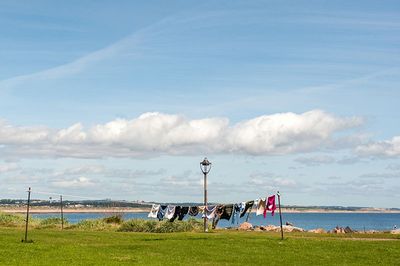 DSC_8730-001.jpg