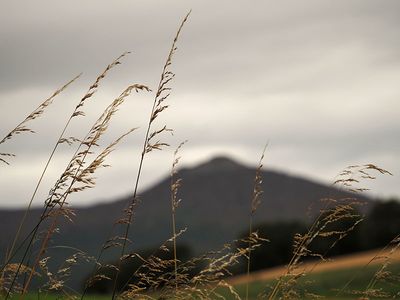 P8170003-2-001.jpg