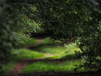 P8170022-2-001.jpg