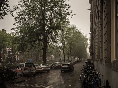 P8240051-2-001.jpg