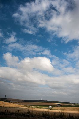 DSC_8889-001.jpg
