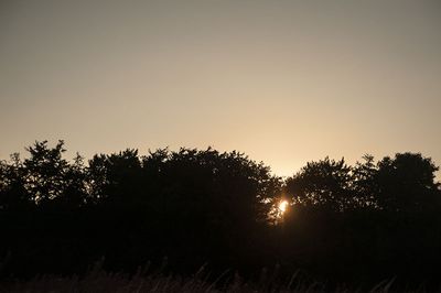 DSC_9066-001.jpg