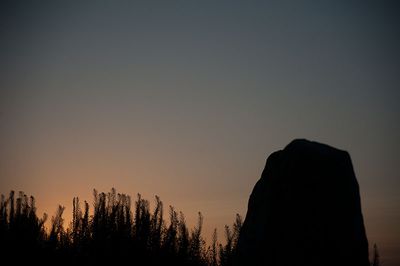DSC_9185-001.jpg
