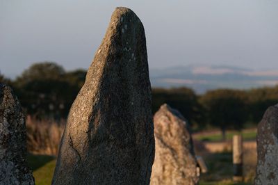 DSC_9148-001.jpg