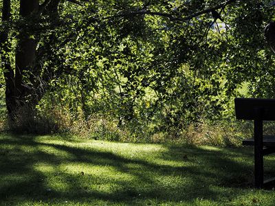 P9130002-2-001.jpg