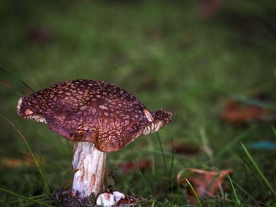 P9130088-2-001.jpg