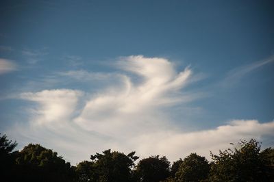 DSC_9257-001.jpg