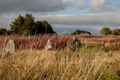 DSC_9902-001.jpg