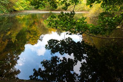 DSC_9924-001.jpg