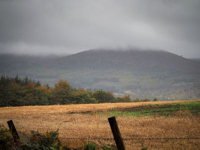 PA080014-2-001.jpg