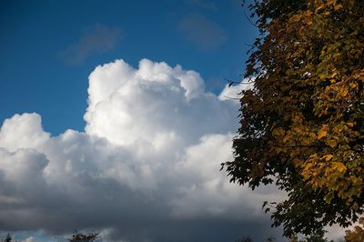 DSC_0120-001.jpg