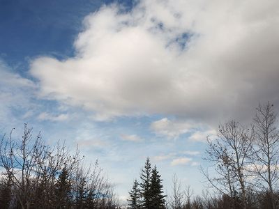 PA160109-2-001.jpg