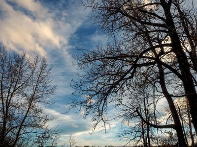 PA160123-2-001.jpg