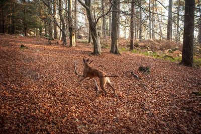 DSC_0419-001.jpg