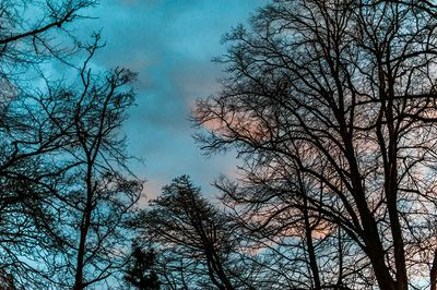 DSC_0834-001.jpg