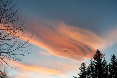 DSC_1231-001.jpg
