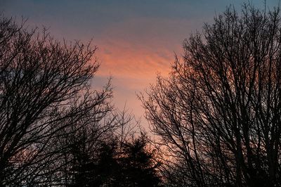 DSC_1238-001.jpg