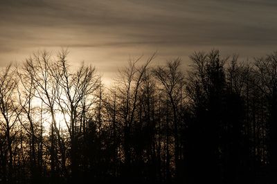 DSC_1897-001.jpg