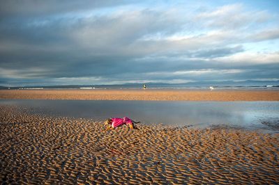 DSC_2094-001.jpg