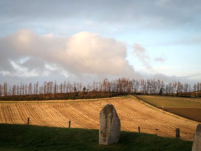 P1010090-2-001.jpg