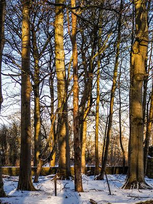 g13/83/72883/3/175166963.de19c717.JPEG
