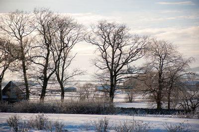 DSC_2378-001.jpg