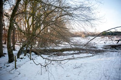DSC_2412-001.jpg