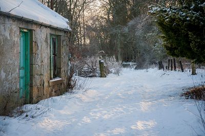 DSC_2427-001.jpg