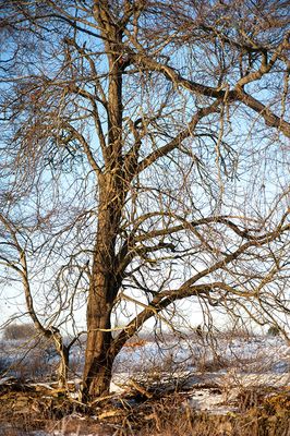 DSC_2409-001.jpg