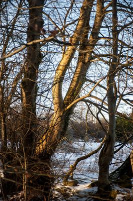 DSC_2415-001.jpg