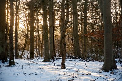 DSC_2430-001.jpg